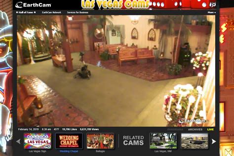 free live cameras in homes.